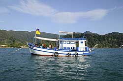 Golden Home Stay Fishing Tours Golden Home Stay Fishing Tours