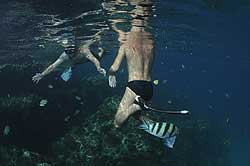 Golden Home Stay Fishing Tours Golden Home Stay Fishing Tours