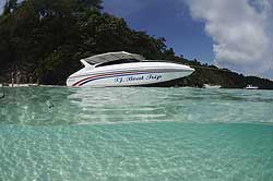 Golden Home Stay Fishing Tours Golden Home Stay Fishing Tours